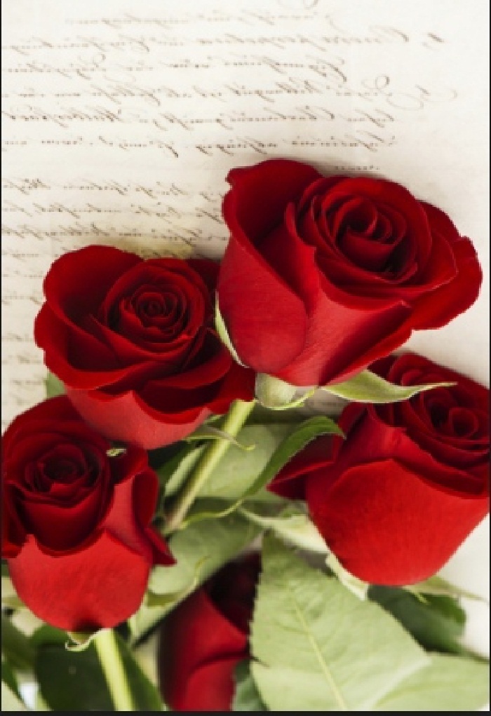 12 Red Roses on old love letter.jpg