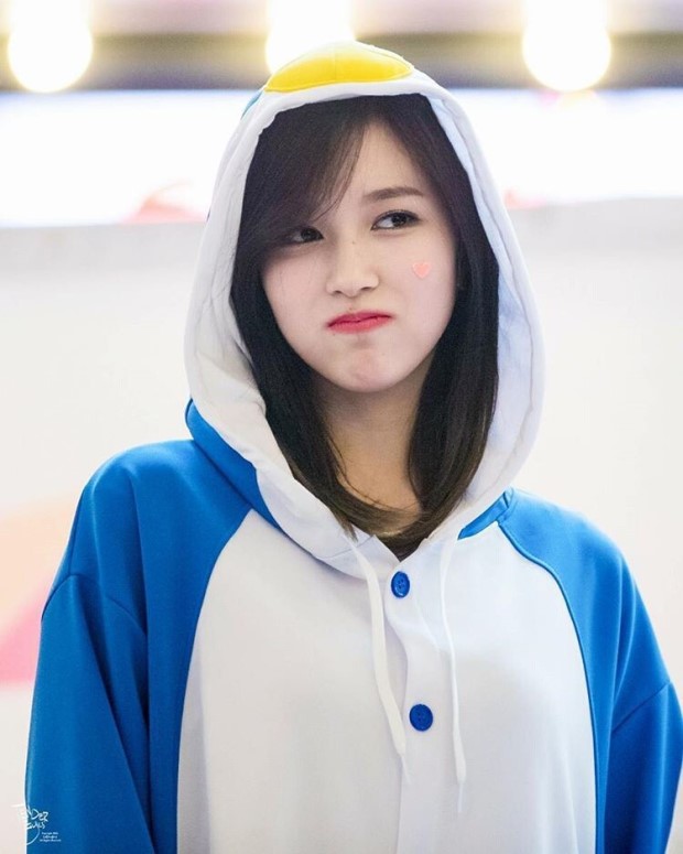 다운로드 (20).jpeg