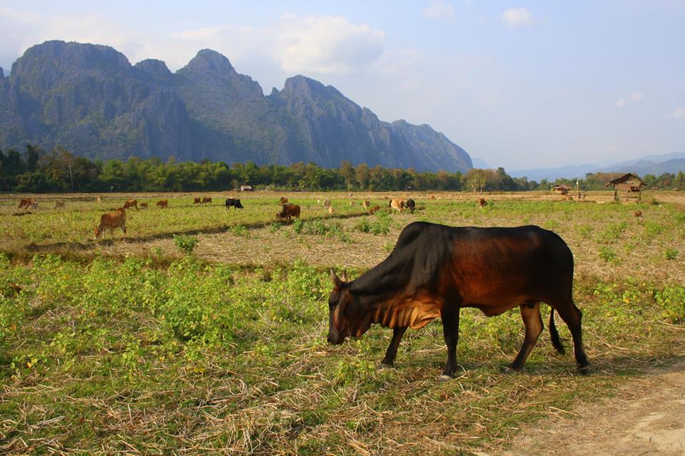 1 vang vieng laos.jpg