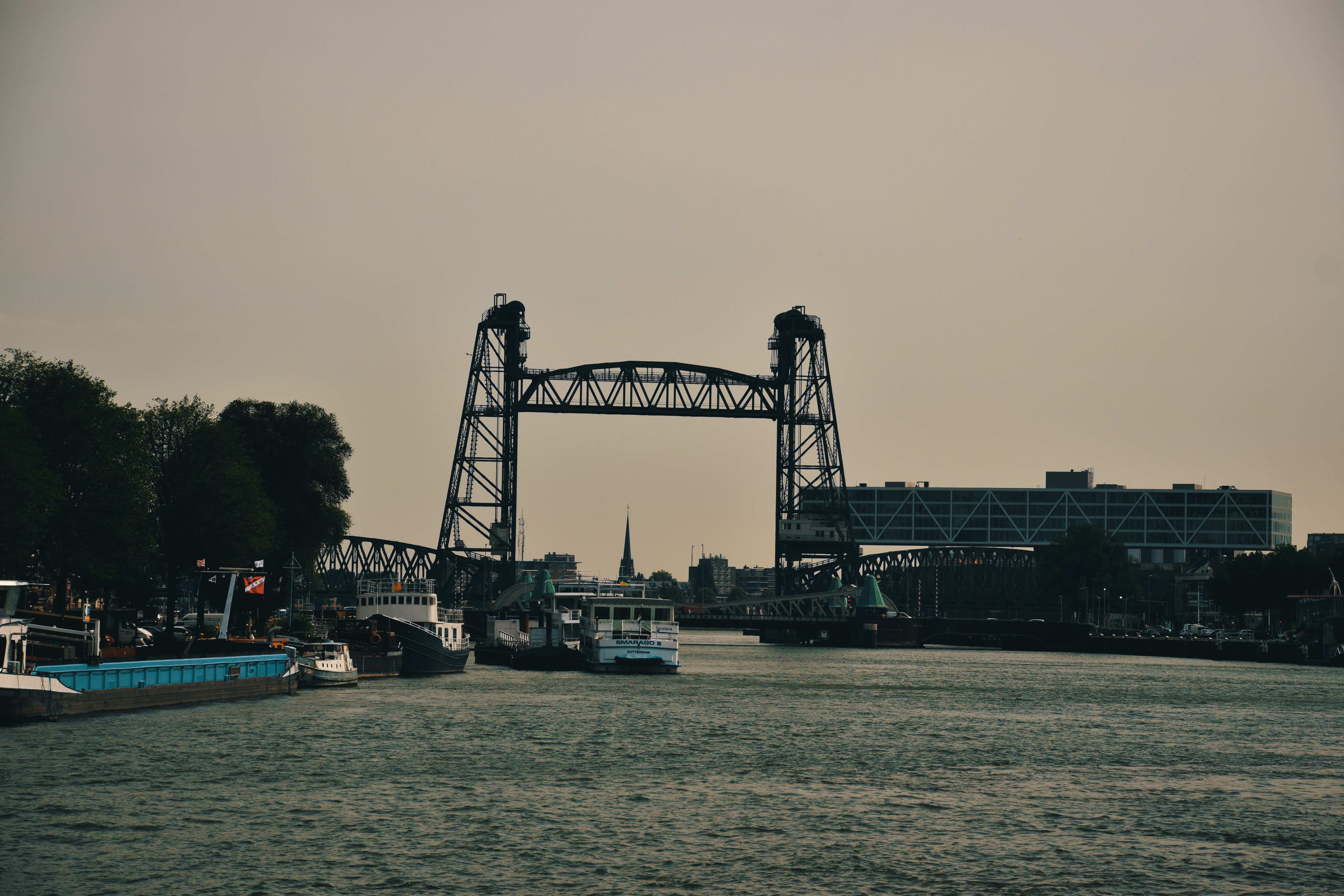 DSC_0086.jpg