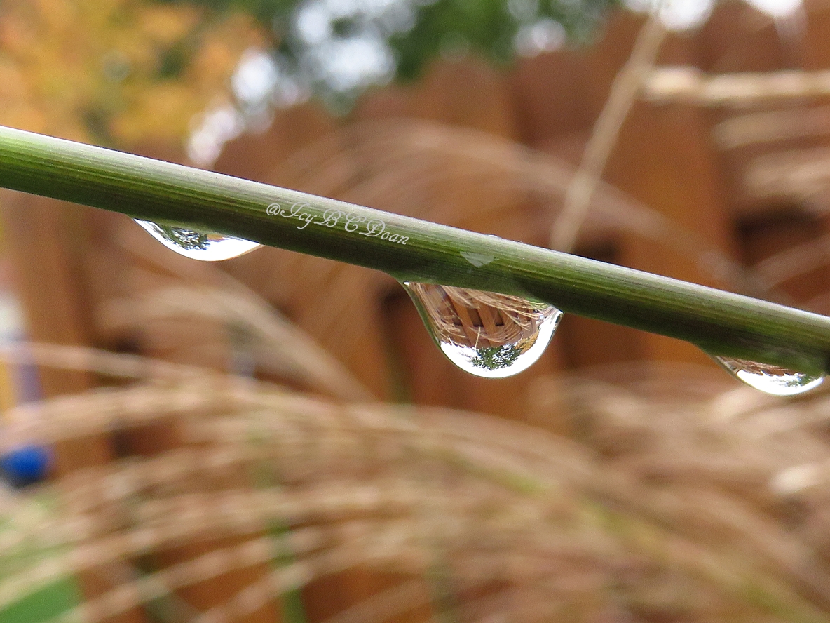 water drop.JPG