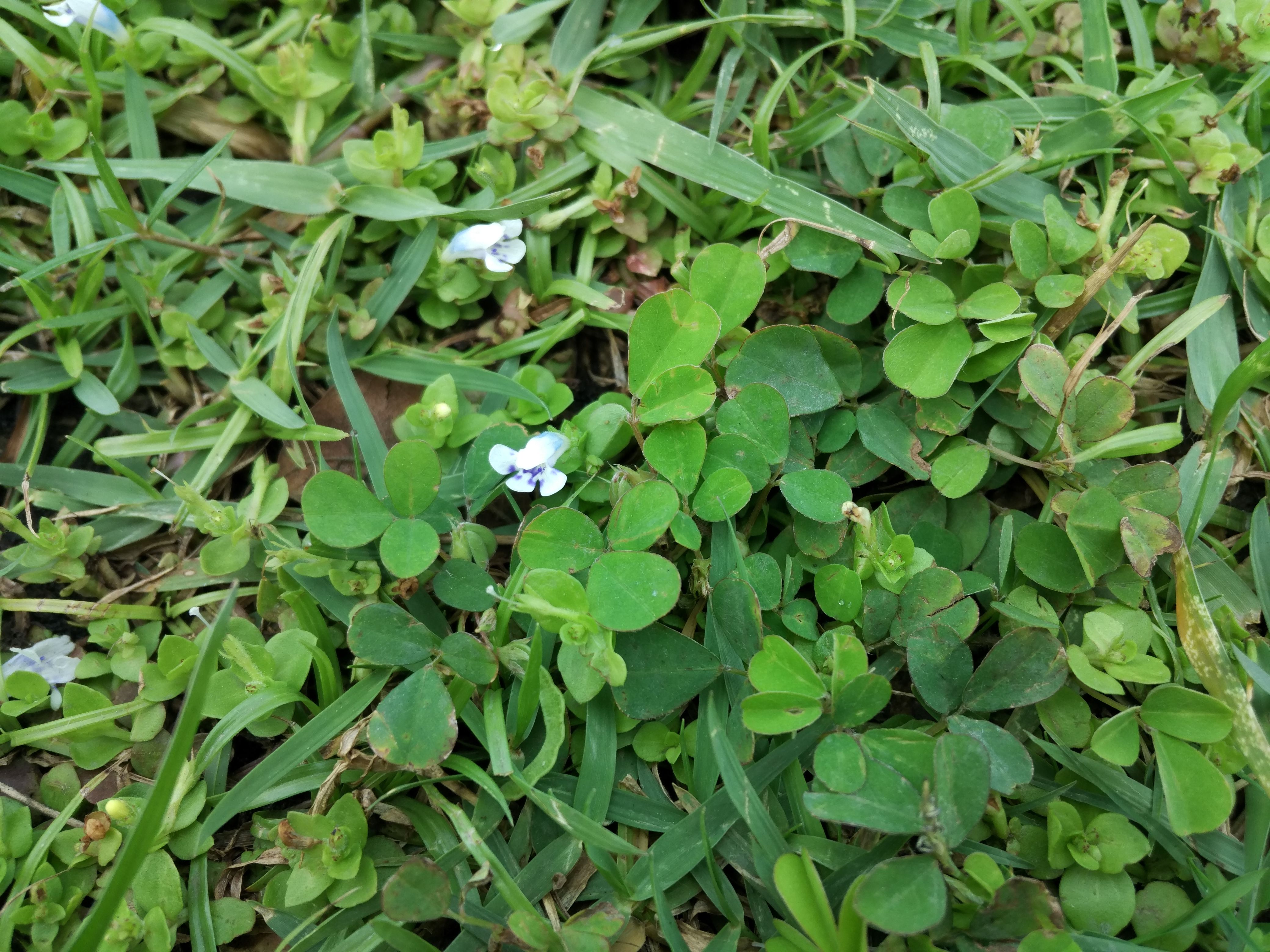 IMG_20180304_110929.jpg