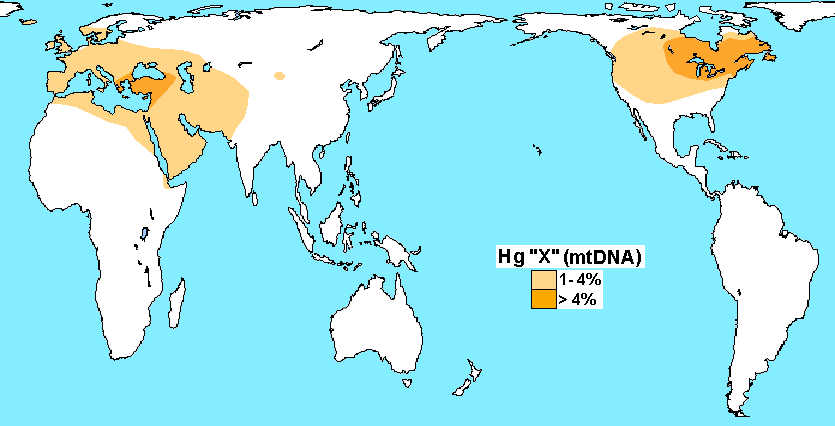 Haplogroup_X_(mtDNA).png