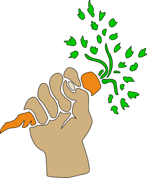 carrot-144965_960_720.png