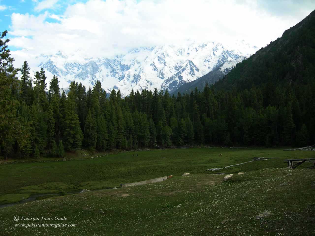 nanga-parbat-fairy-meadows4.jpg