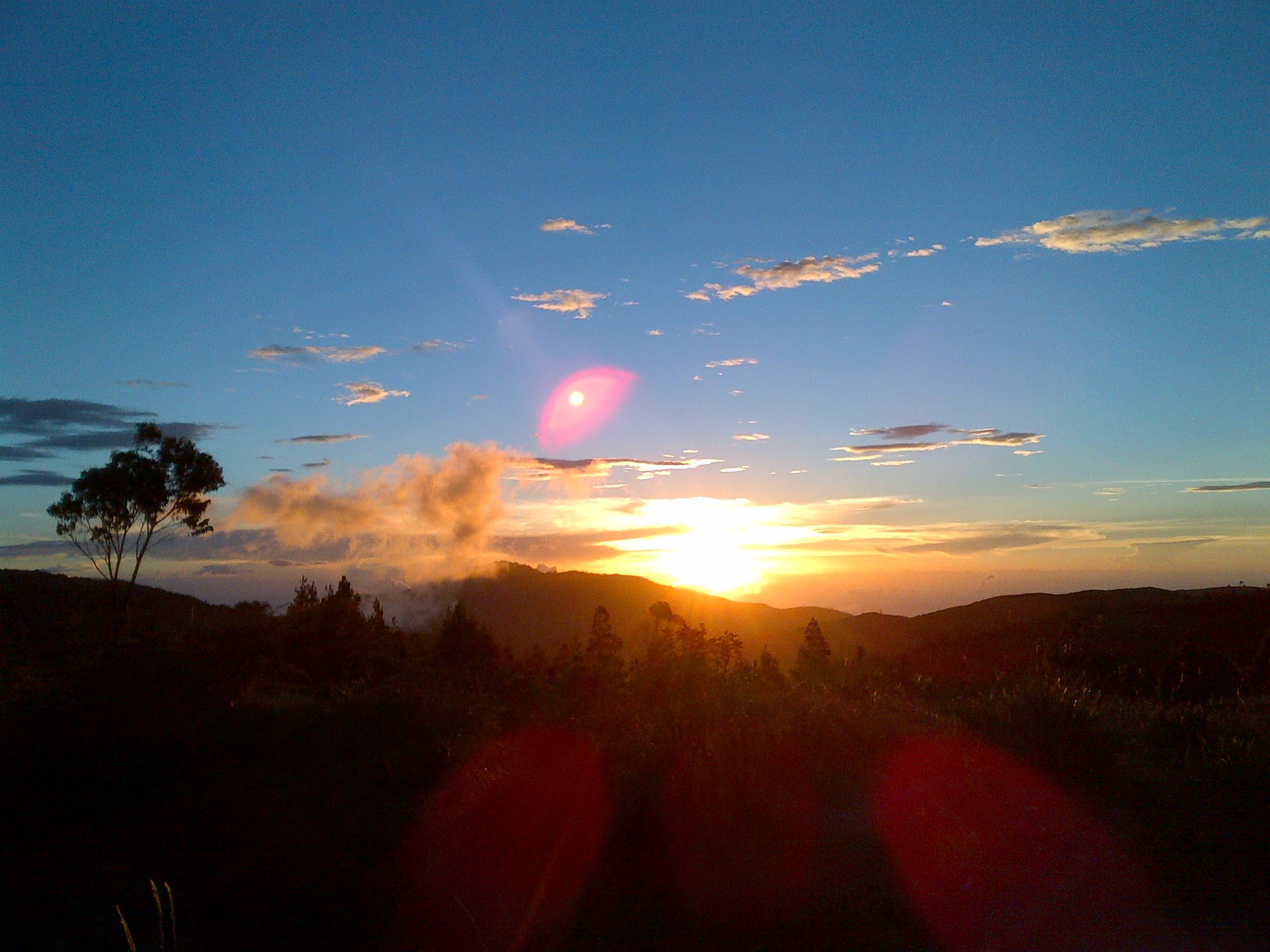 IMG-20130706-00960.jpg
