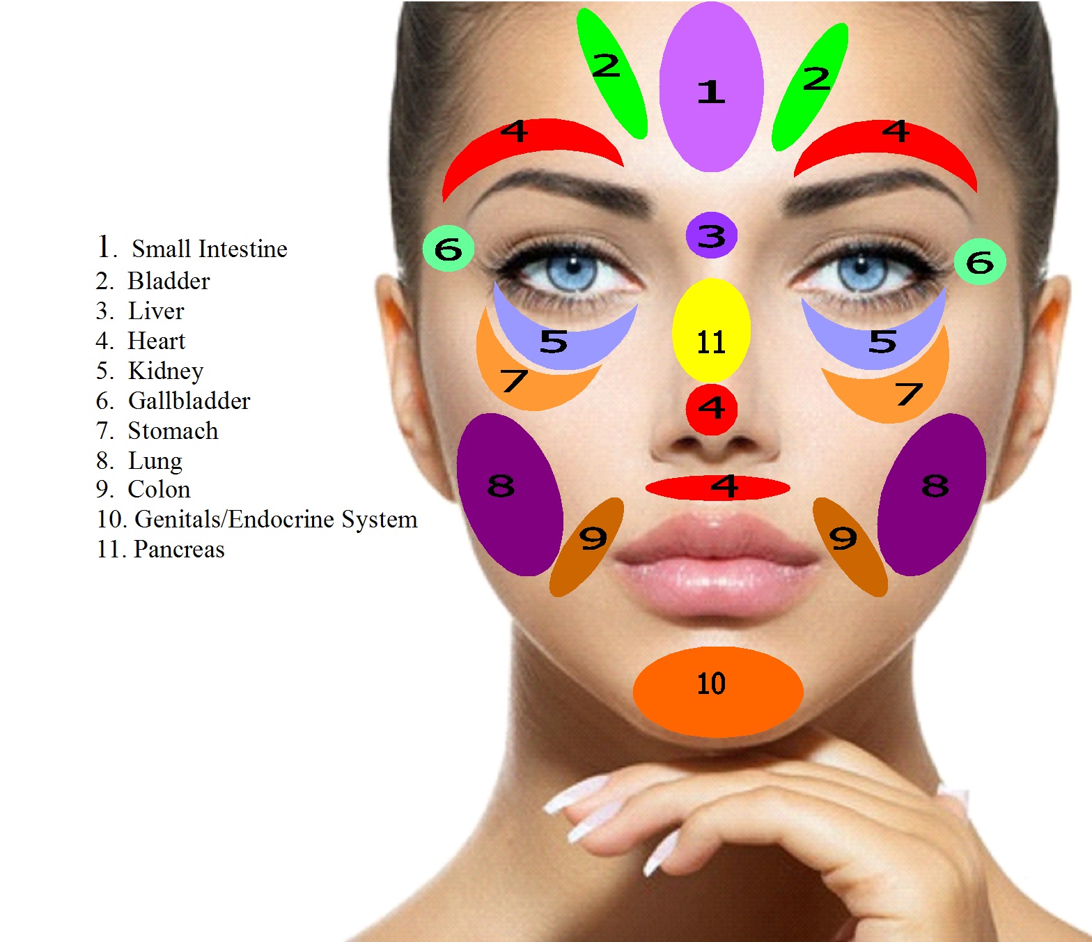 Face Reflexology Chart Pressure Points