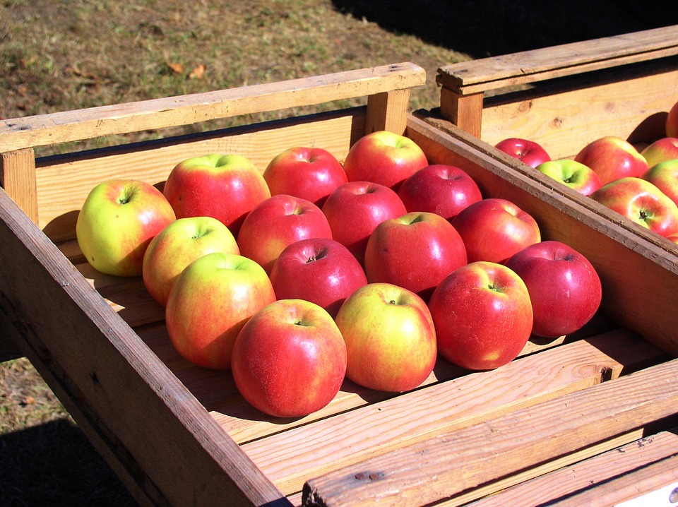 apples-1642732_960_720.jpg