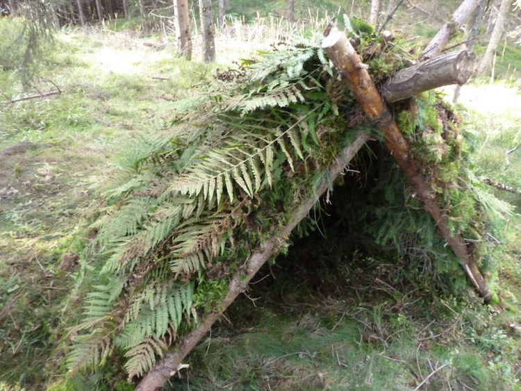 Branch-A-Frame-Shelter.jpg