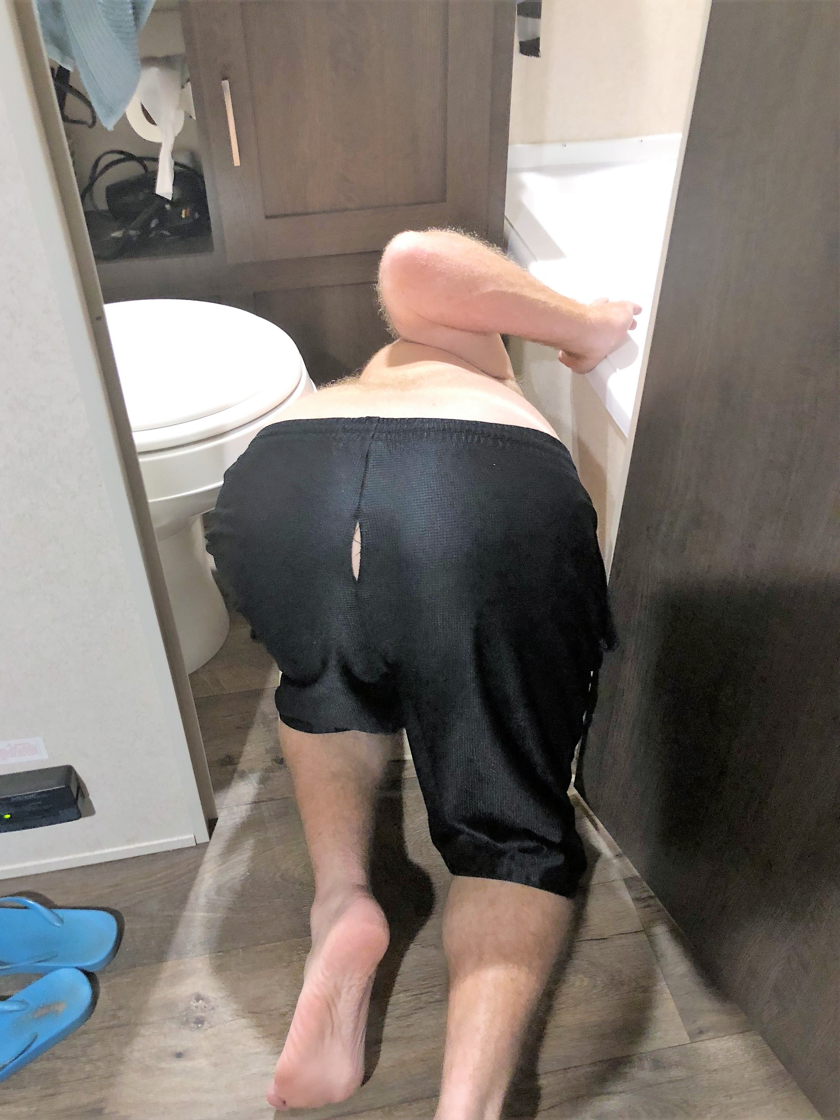 Joey.jpg