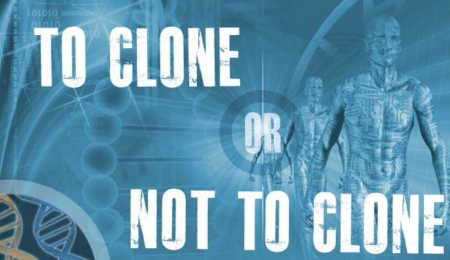 Pros-and-Cons-of-Human-Cloning.jpg
