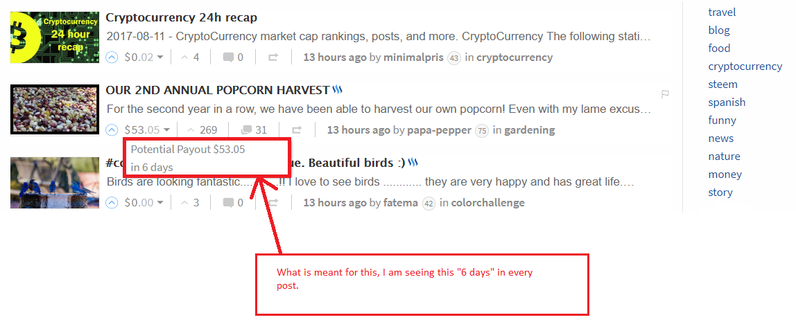 potential payout steemit.png