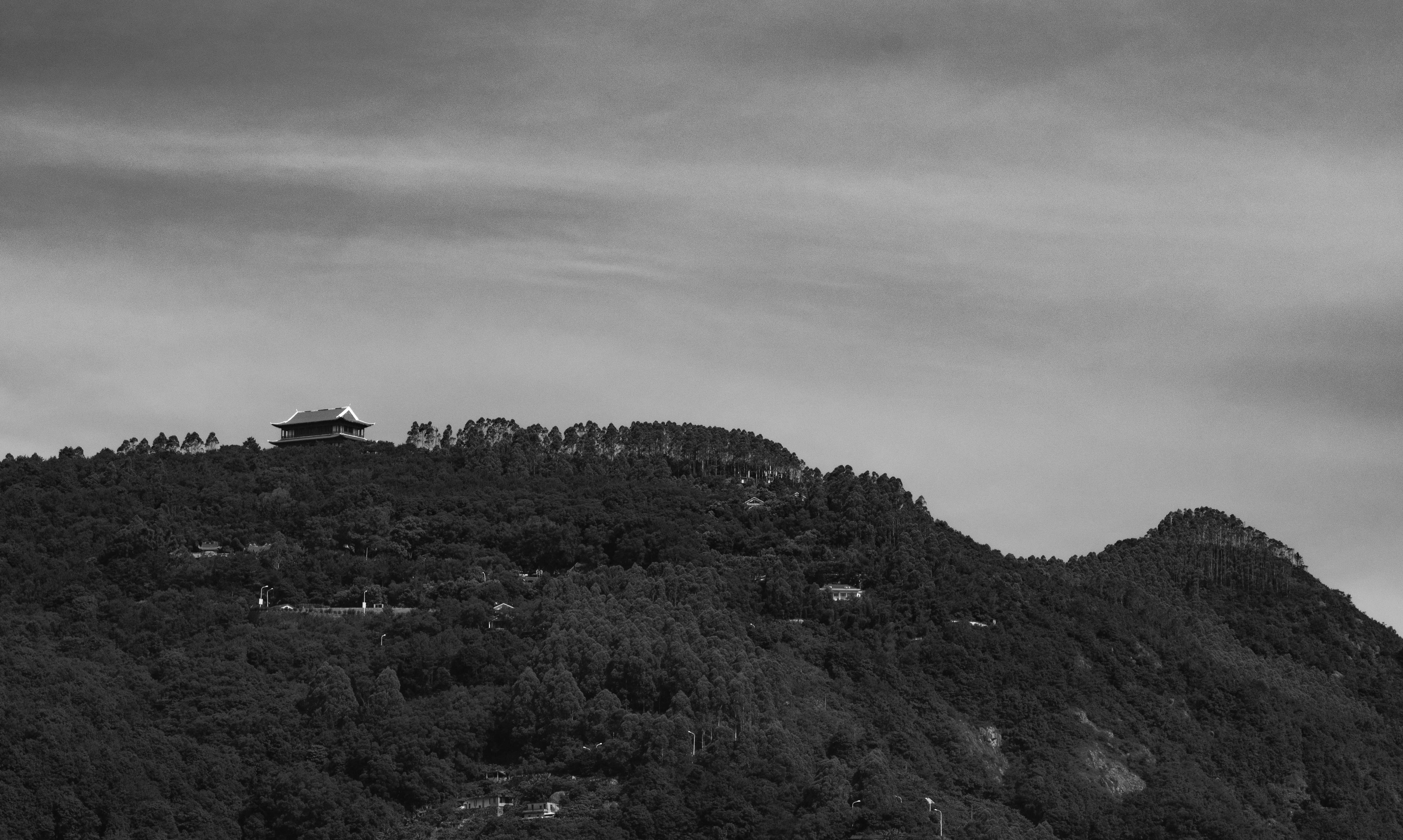 _DSC1108.jpg