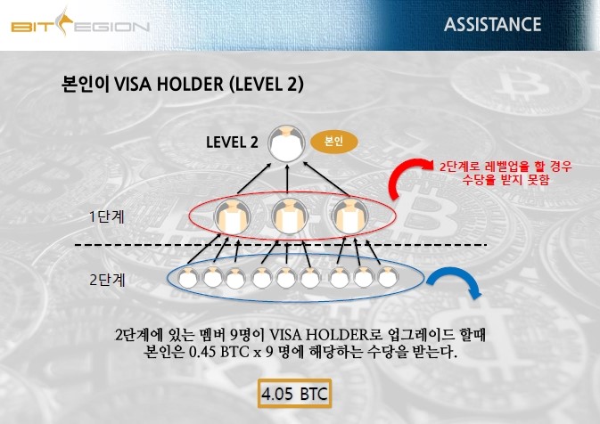 비트리전4.jpg