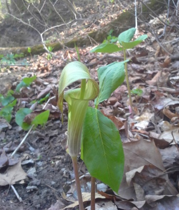 20150412_151842.jpg