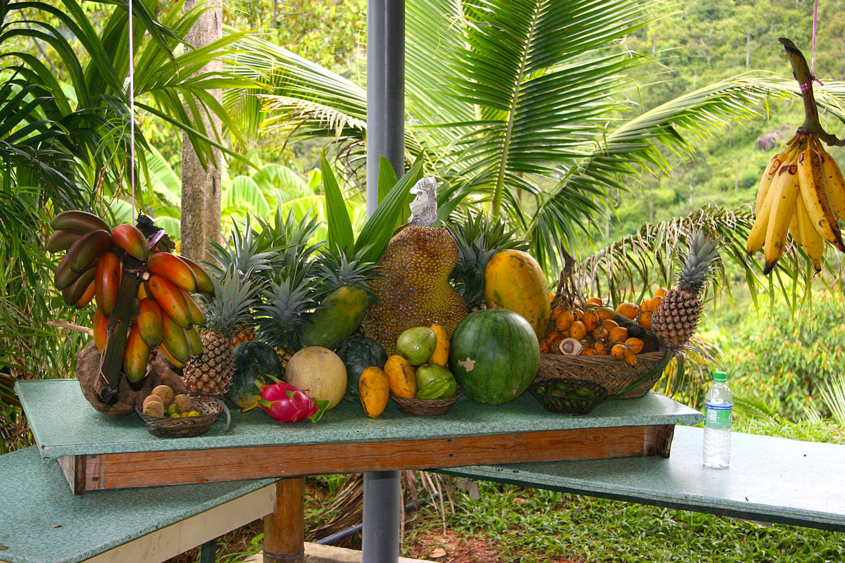 tropical-fruit-garden-penang.jpg