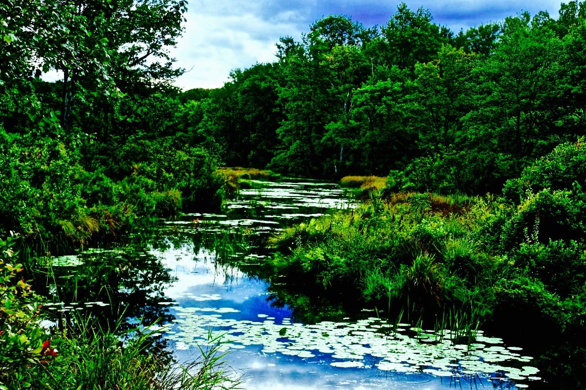 pennsylvania_monroecounty_gouldsborostatepark_frankgantztrail_poconos_hiking_stream_creek-110004.jpg!d.jpg