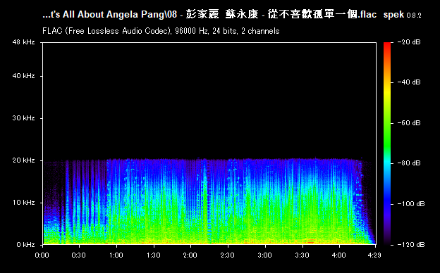 08 - 彭家麗  蘇永康 - 從不喜歡孤單一個.flac.png