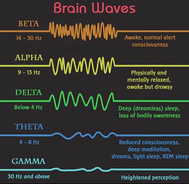 BrainWaves.jpg