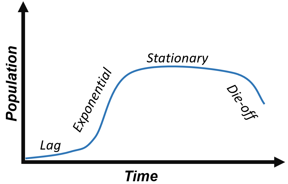 growth curve.png