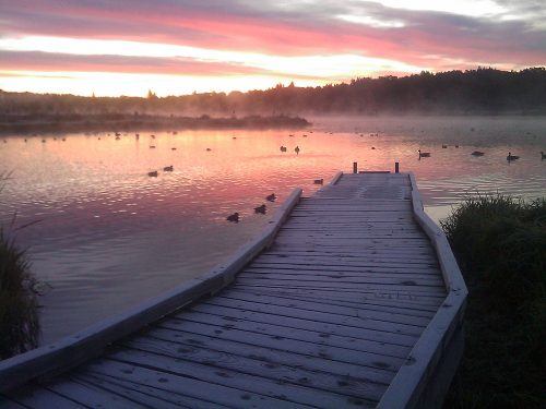 Burnaby-Lake-LeesamlongFlickr-500x375.jpg