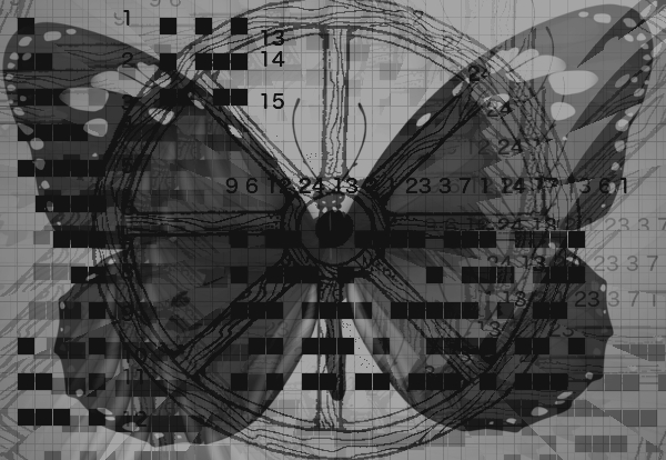 Grid Numbers Wheel Butterfly Dark.jpg