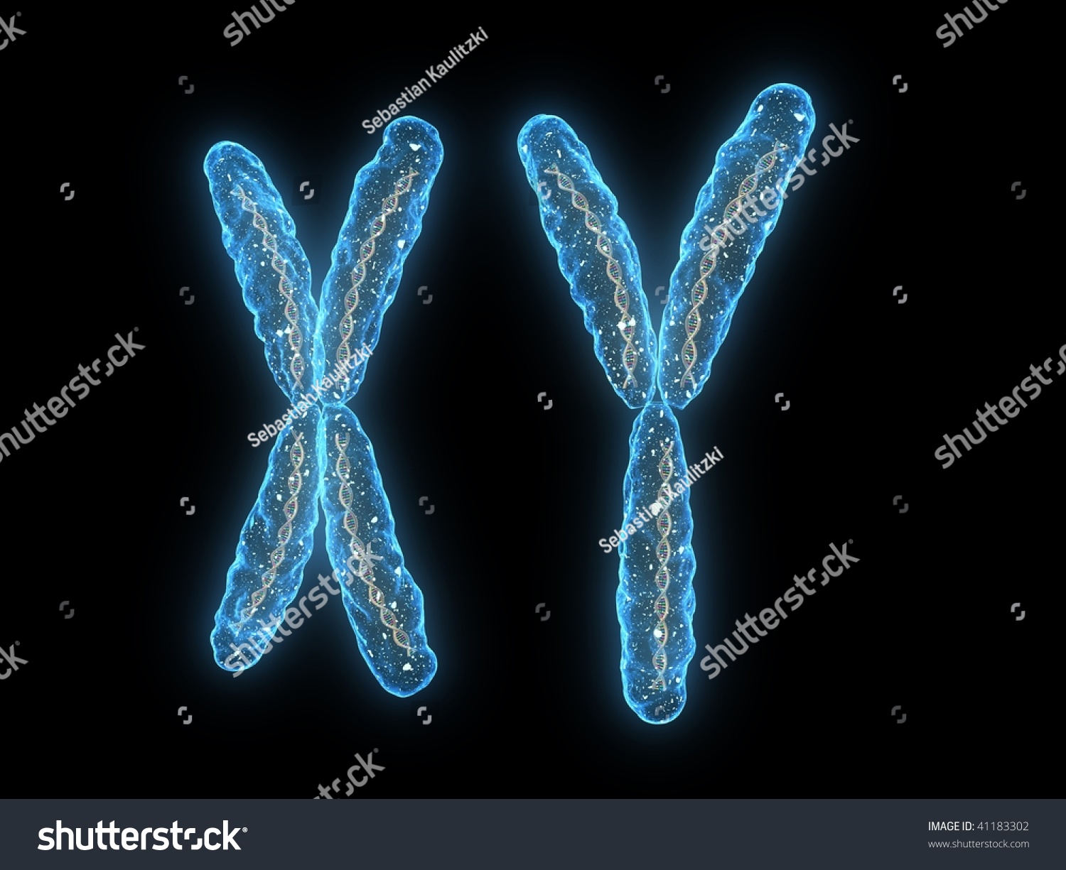 stock-photo-xy-chromosome-41183302.jpg