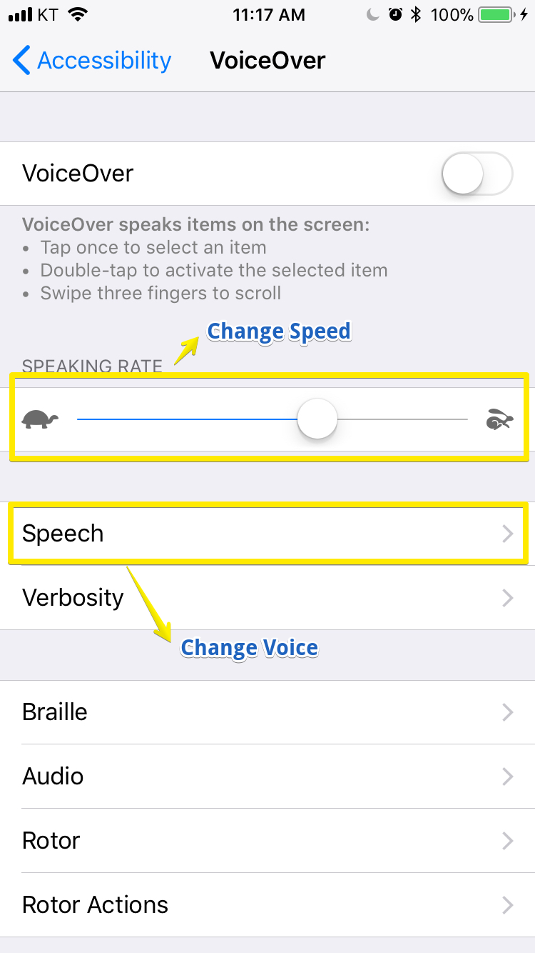 VoiceOver_settings.png