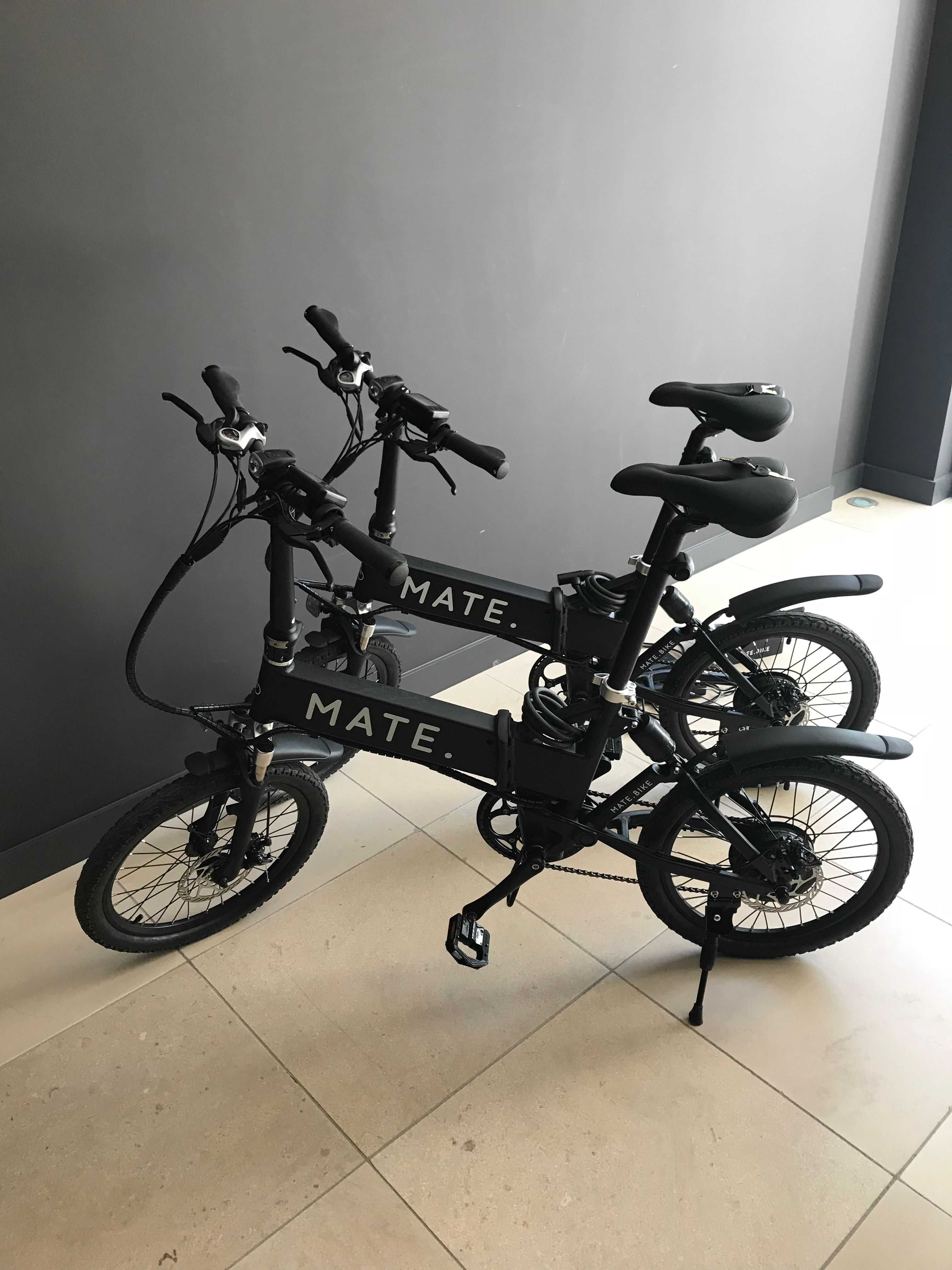 mate bike for sale