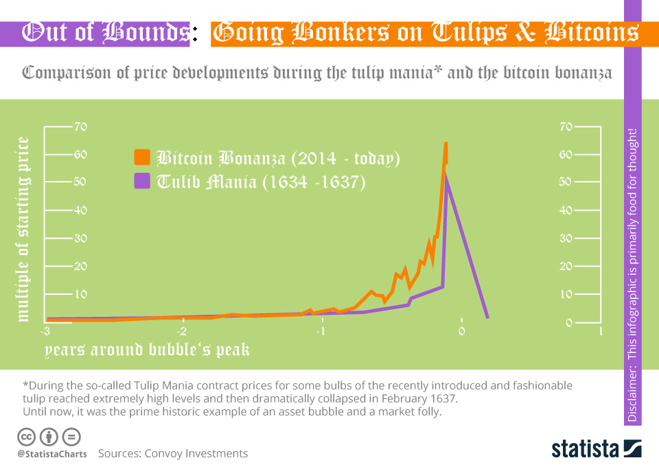 chartoftheday_12352_price_developments_during_the_tulip_mania_and_the_bitcoin_bonanza_n.jpg