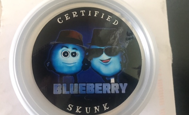 blueberry1.jpg