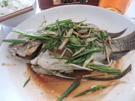 tilapia2.jpg