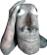 head.jpg