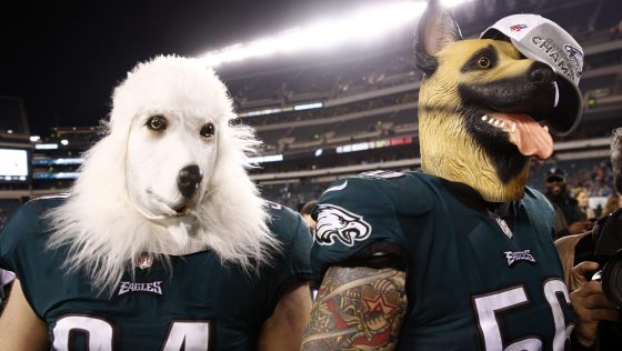 dog eagles.jpg