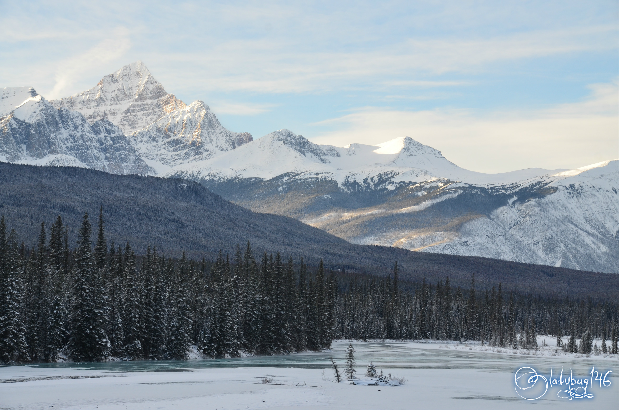 icefield parkway.jpg