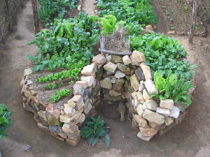 Rock Garden.jpg