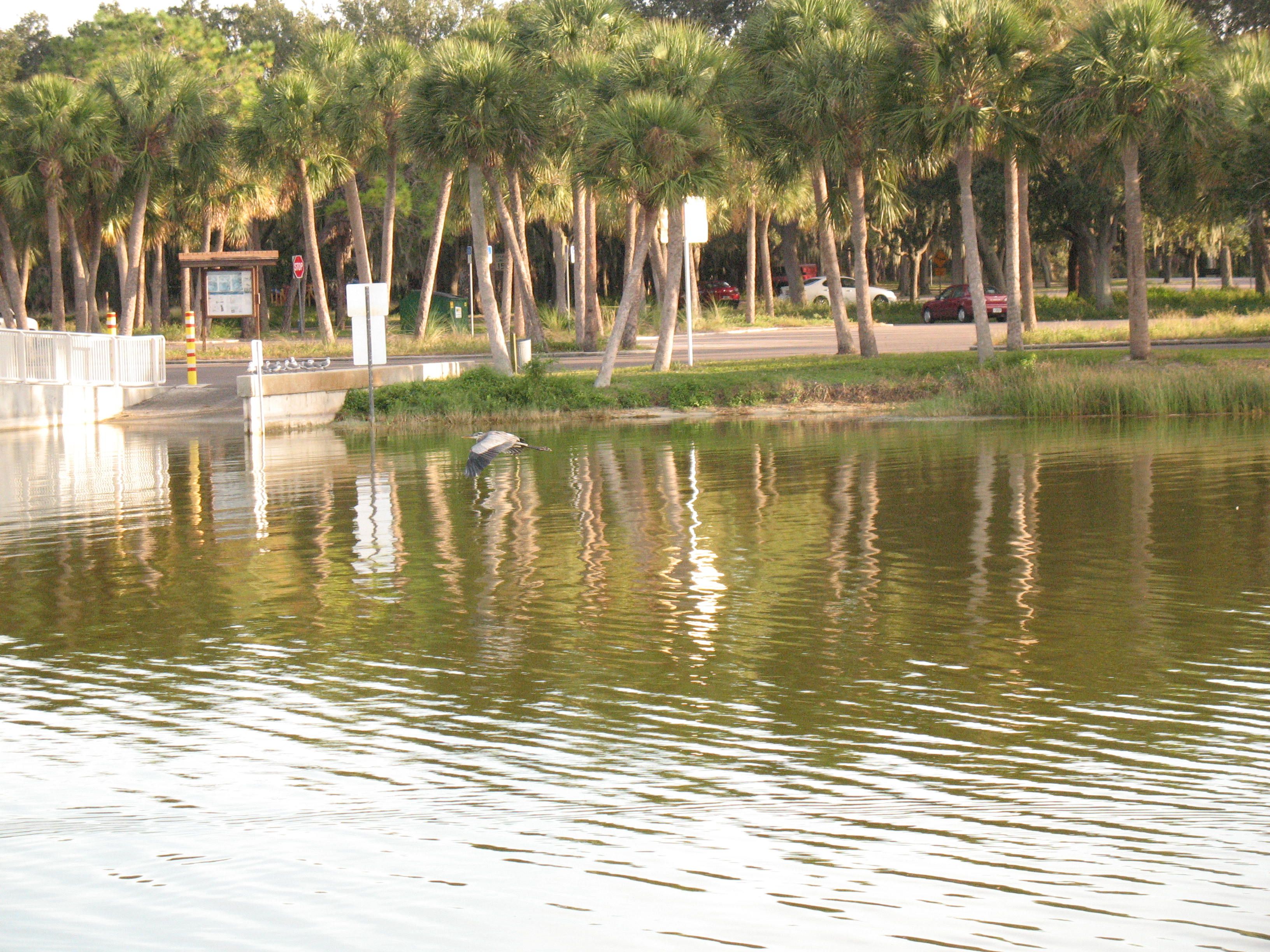 20091031 Lake Seminole Park and Happy Birthdayween Party 024.jpg