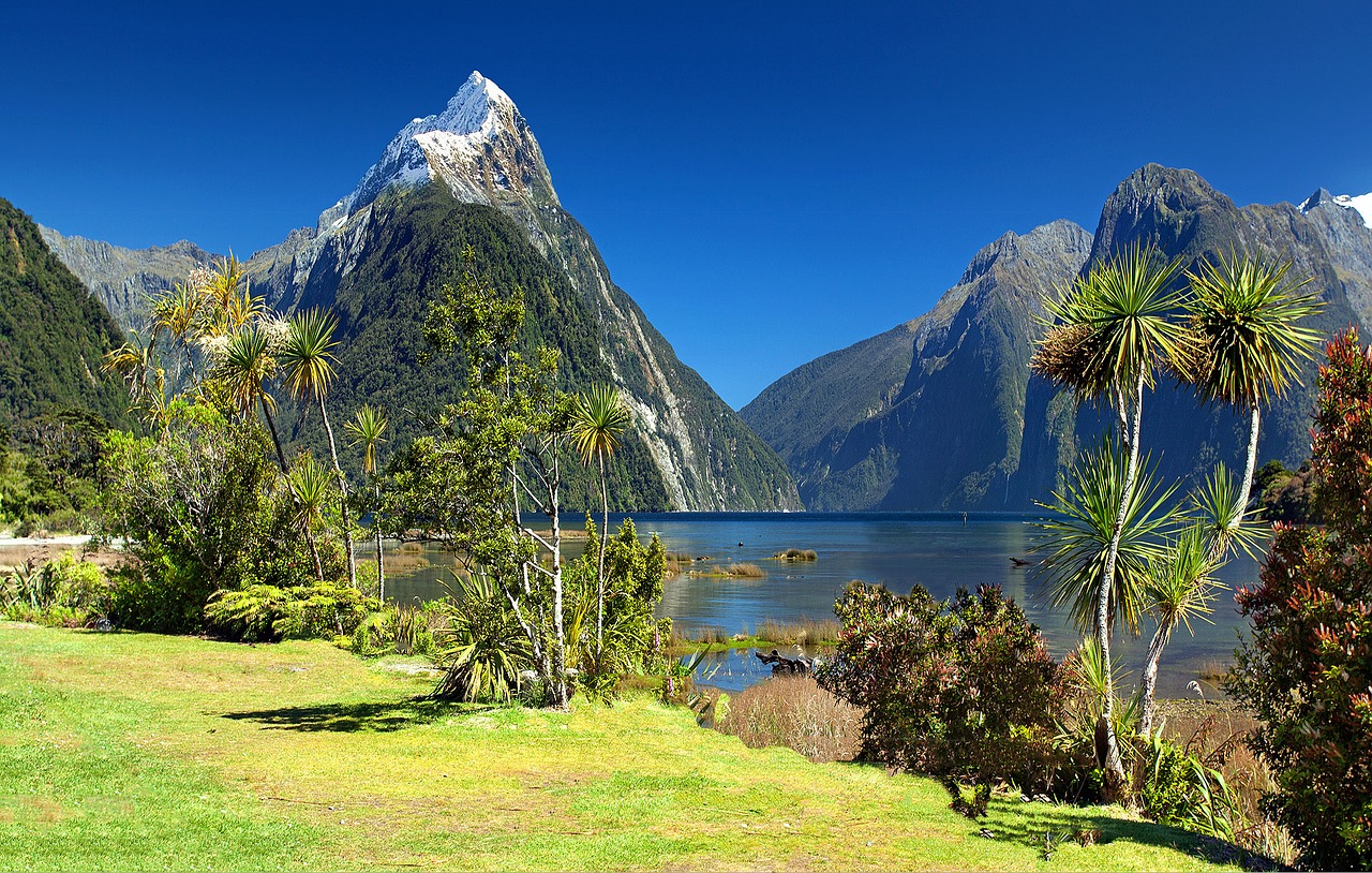 new-zealand.jpg