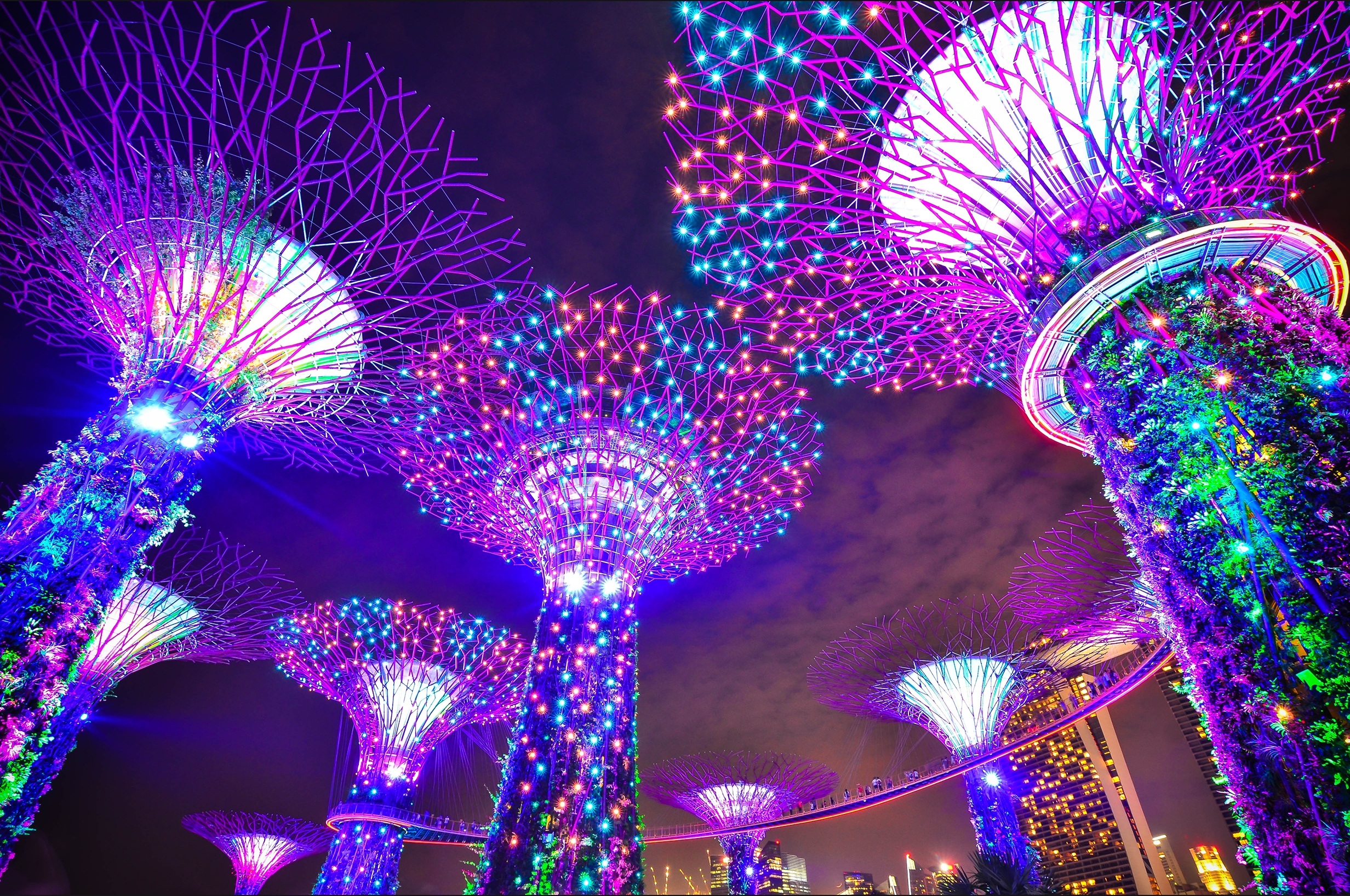 Gardens by the Bay in Singapore.jpeg