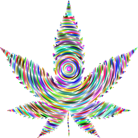 marijuana-2756799__480.png