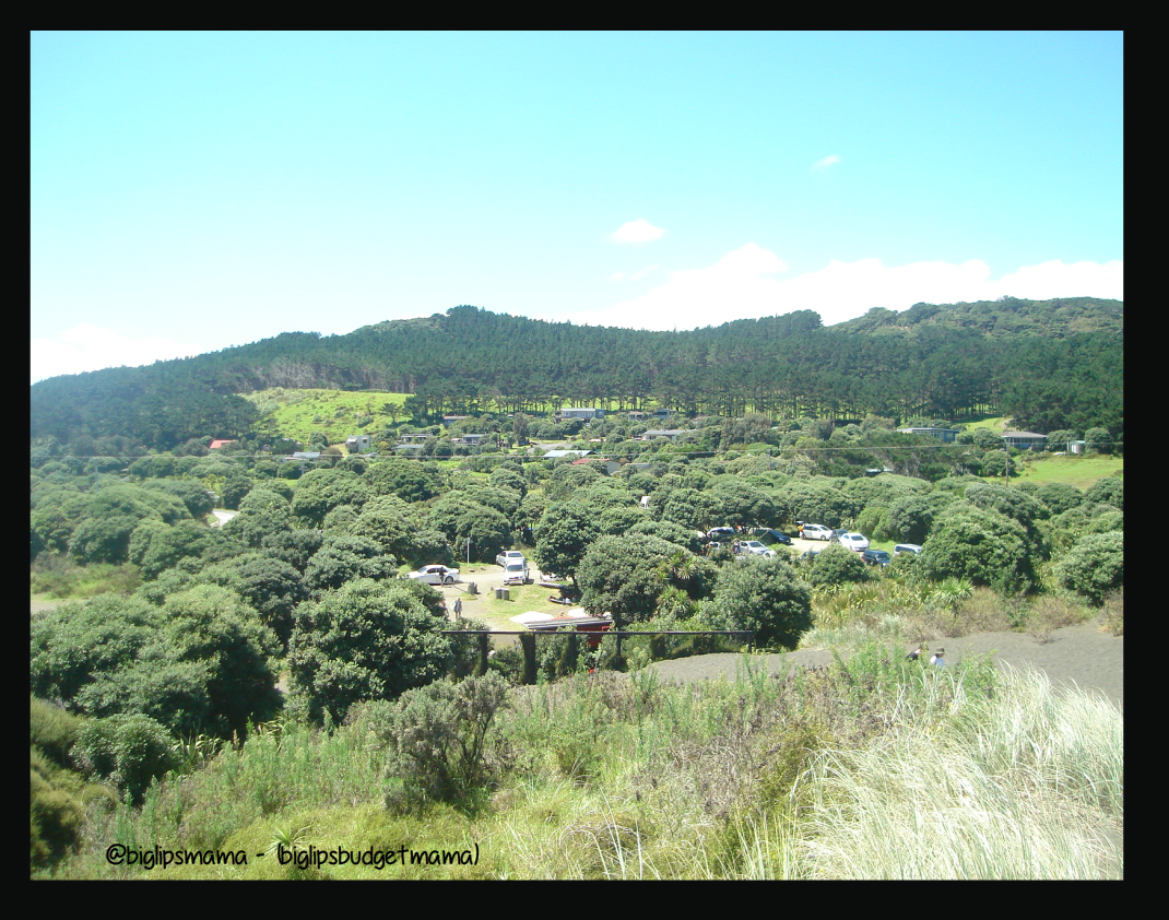 bethells beach 360.jpg