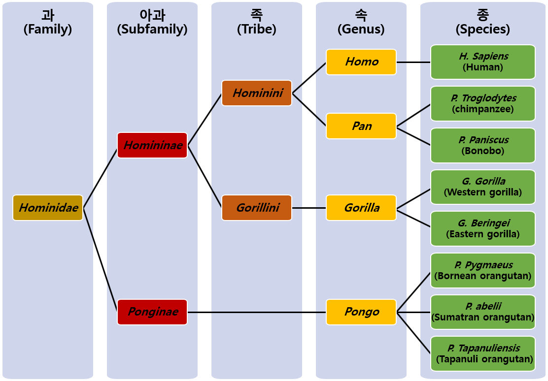 &#44228;&#53685;1.png