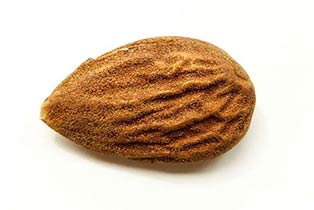 Almond.jpg