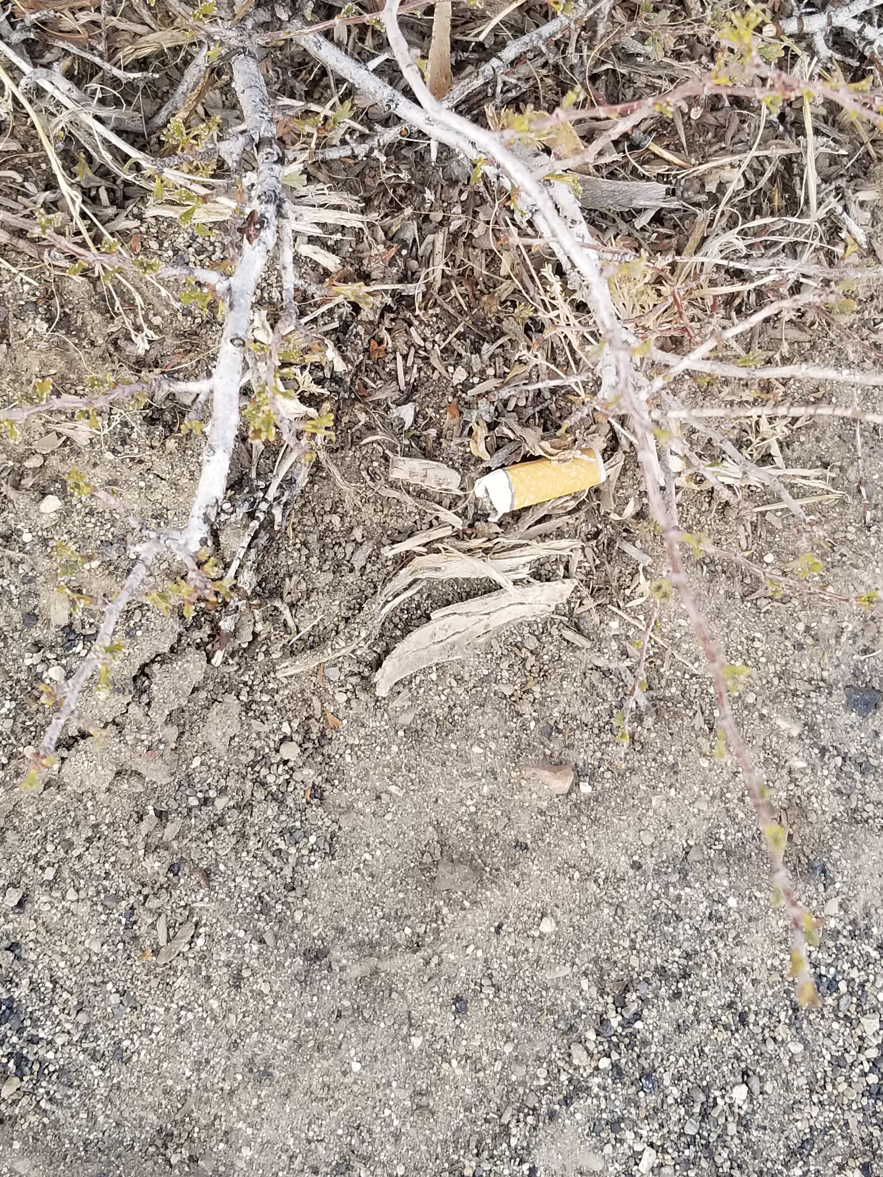 20180331_132222.jpg
