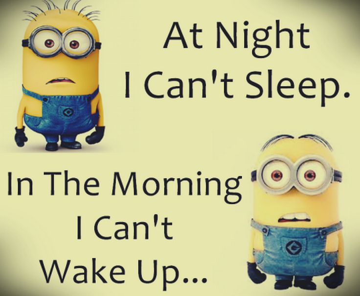 Top-40-Minion-Jokes-funny-memes.jpg