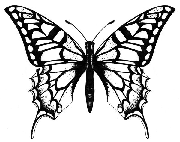 e7f1a3eaf14181d8dd25e675cbb59d15--butterfly-tattoo-designs-butterfly-design.jpg