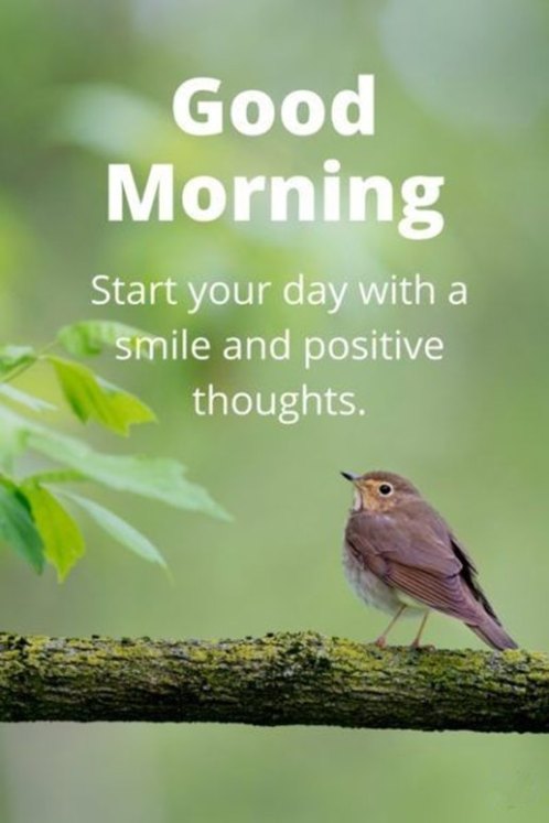 Good-Morning-Quotes-Good-Morning-Start-Your-Day-Smile-And-Positive-Thoughts.jpg