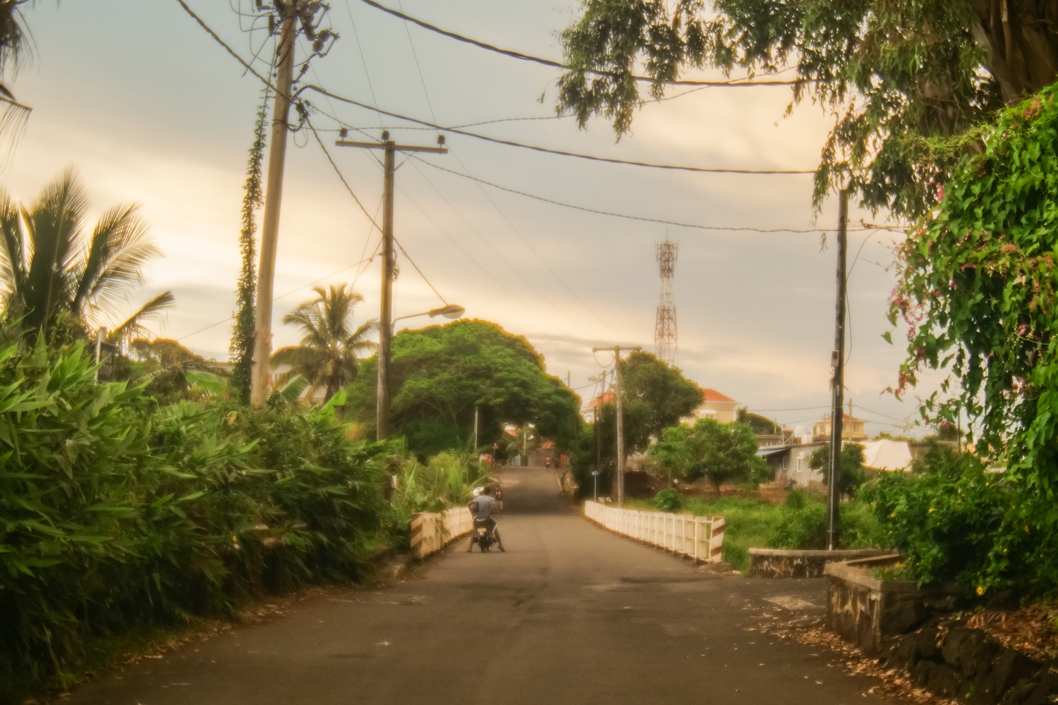 Mauritius_Safran at Shangri La Le Touessrok-1111729.jpg