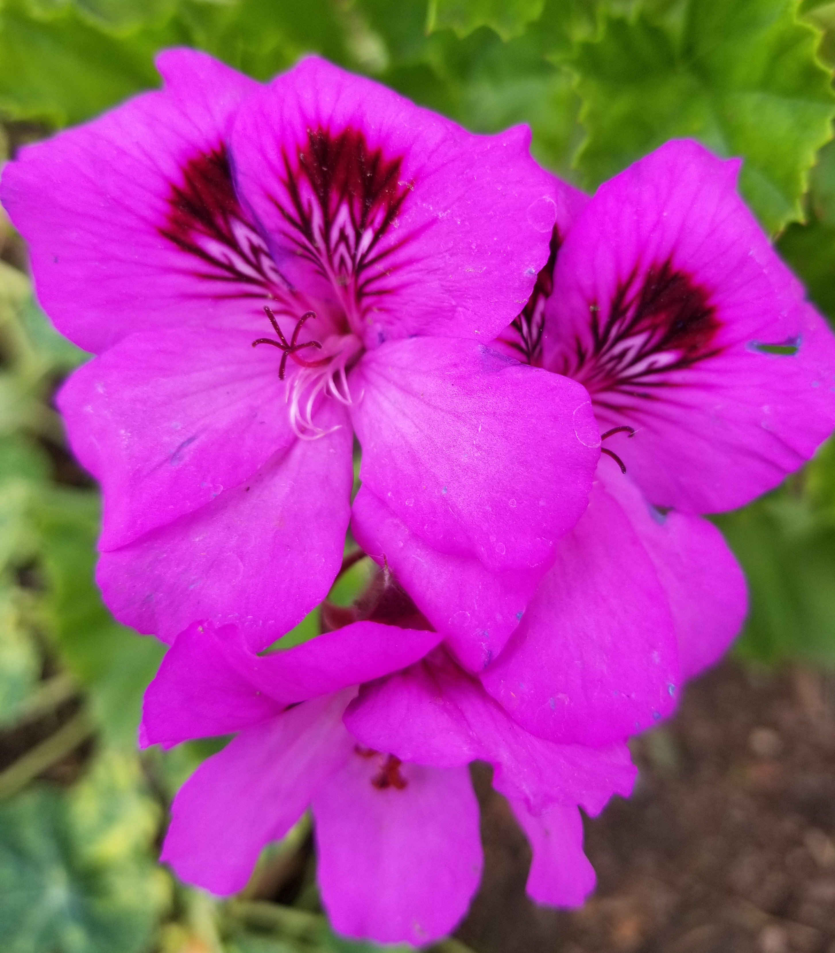 20180430_121659~2.jpg