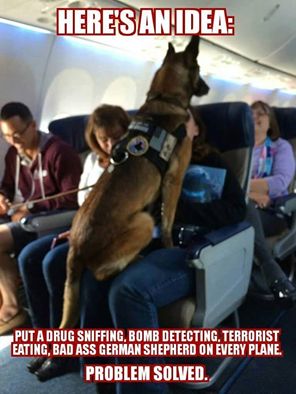 planedog.jpg